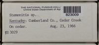 Image Associated With the Occurence